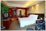 2013國際鈷鋰行業論壇