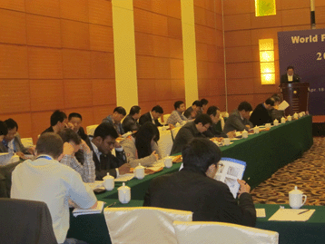 World Fused Alumina Forum 2013