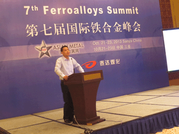 2013國(guó)際戰(zhàn)略金屬峰會(huì)