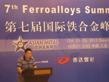 2013國(guó)際戰(zhàn)略金屬峰會(huì)