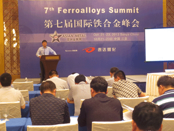 2013國(guó)際戰(zhàn)略金屬峰會(huì)