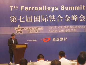 2013國(guó)際戰(zhàn)略金屬峰會(huì)