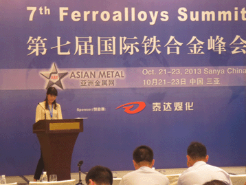 2013國(guó)際戰(zhàn)略金屬峰會(huì)