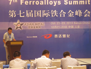 2013國(guó)際戰(zhàn)略金屬峰會(huì)