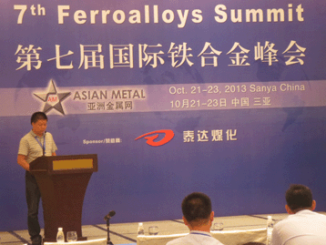 2013國(guó)際戰(zhàn)略金屬峰會(huì)