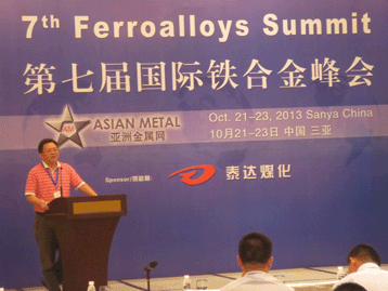 2013國(guó)際戰(zhàn)略金屬峰會(huì)