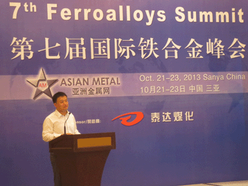 2013國(guó)際戰(zhàn)略金屬峰會(huì)