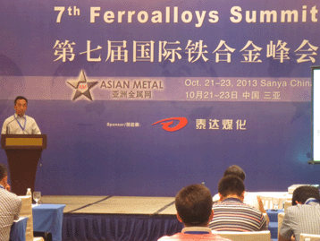 2013國(guó)際戰(zhàn)略金屬峰會(huì)