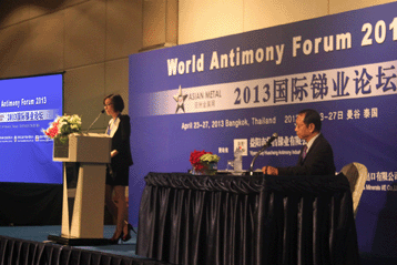 2013國際銻業論壇