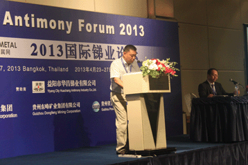 2013國際銻業論壇