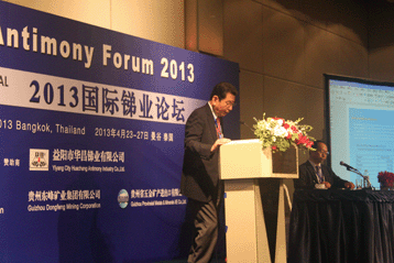 2013國際銻業論壇