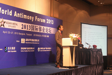 2013國際銻業論壇