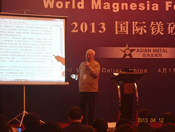 2013國際鎂砂論壇
