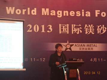 2013國際鎂砂論壇