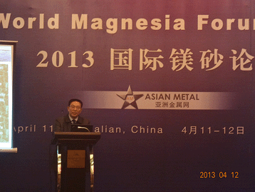 2013國際鎂砂論壇
