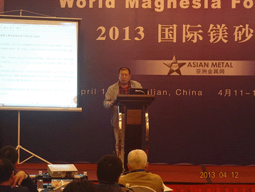 2013國際鎂砂論壇