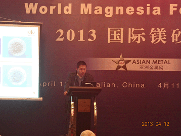 2013國際鎂砂論壇