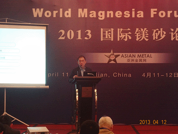 2013國際鎂砂論壇