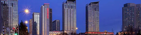 2013國際鎂砂論壇