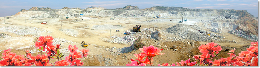 公司圖片-亞洲金屬