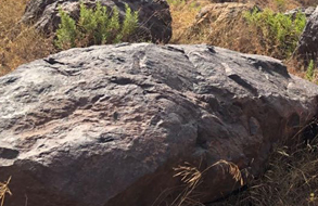 公司圖片-亞洲金屬